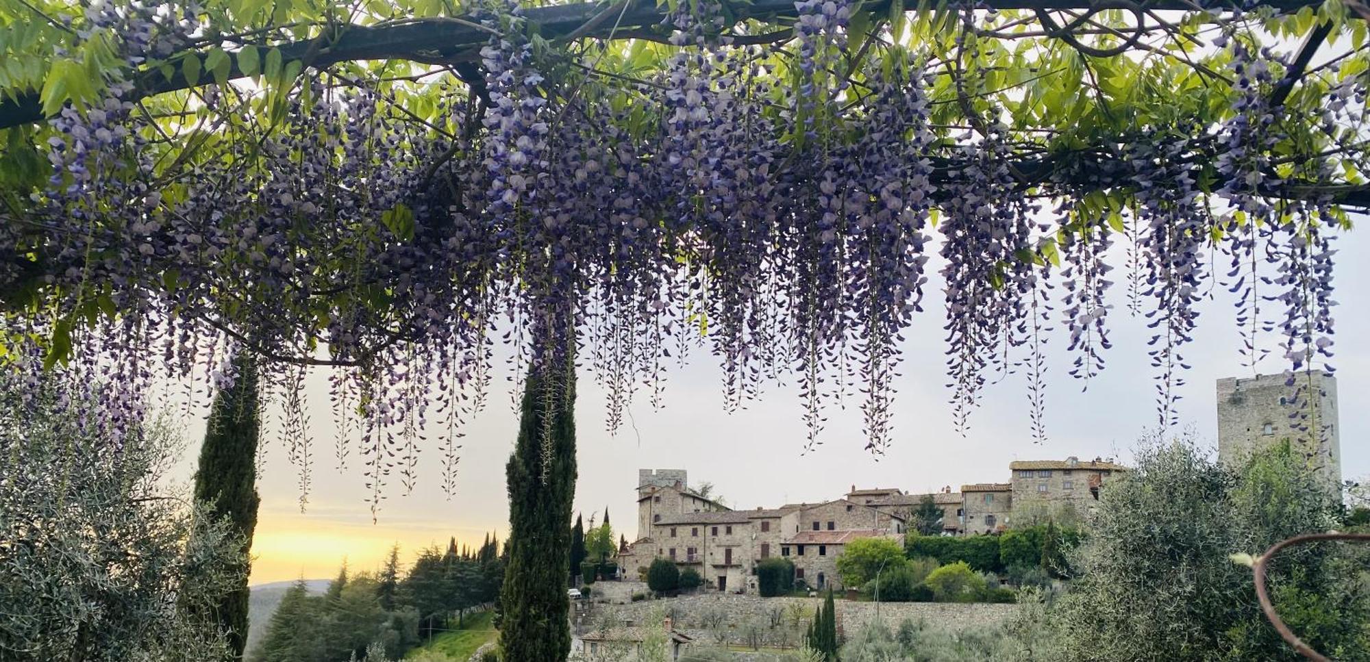 Vertine Countryside Villa Gaiole in Chianti